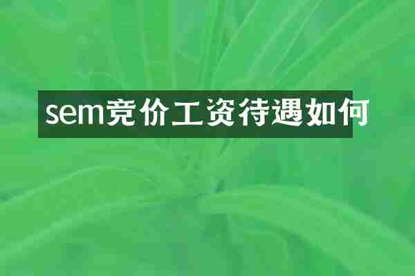 sem竞价工资待遇如何
