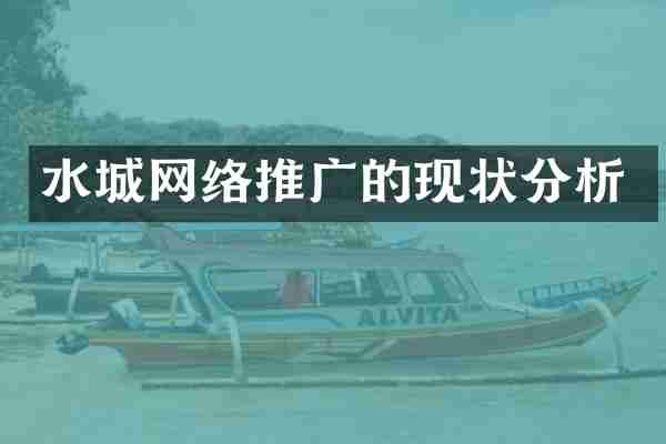 水城网络推广的现状分析