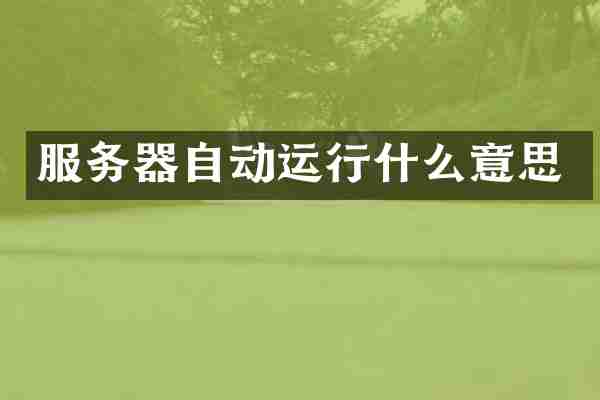 服务器自动运行什么意思