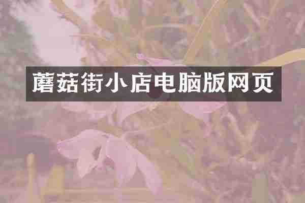 蘑菇街小店电脑版网页