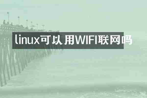 linux可以用WIFI联网吗