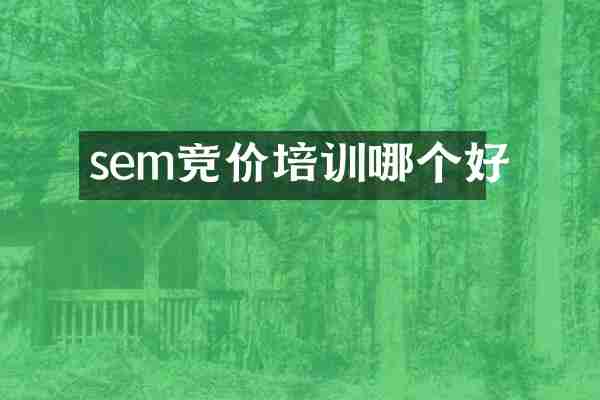 sem竞价培训哪个好