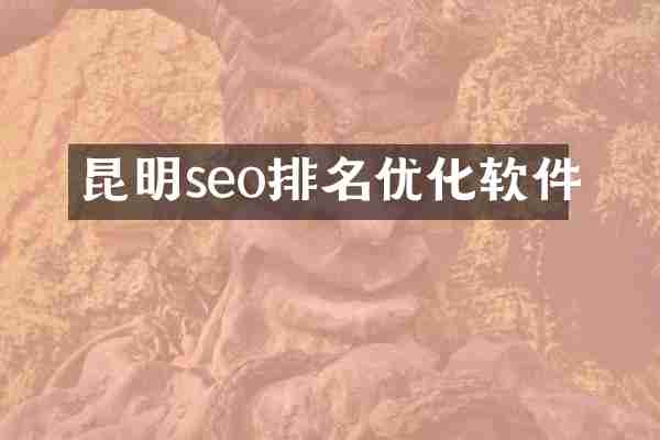 昆明seo排名优化软件