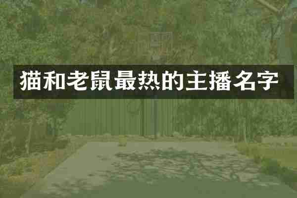 猫和老鼠最热的主播名字