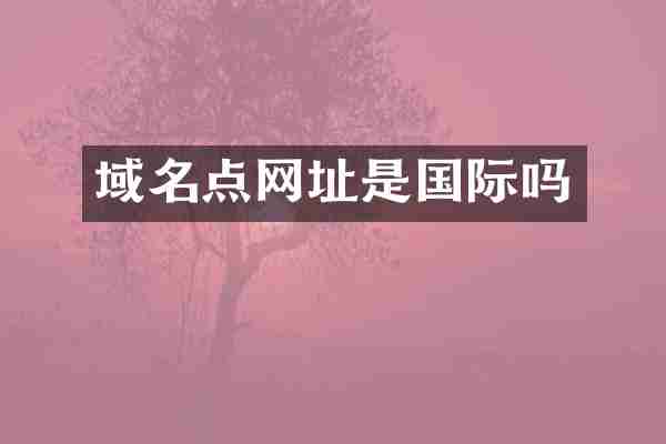 域名点网址是国际吗