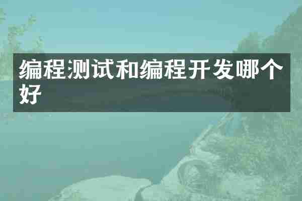 编程测试和编程开发哪个好