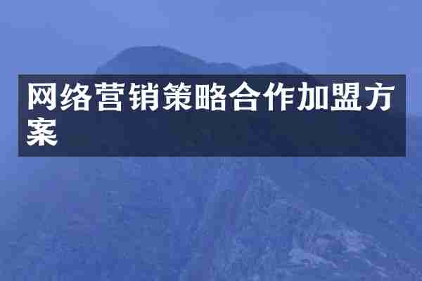 网络营销策略合作加盟方案