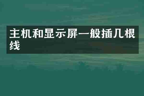 主机和显示屏一般插几根线