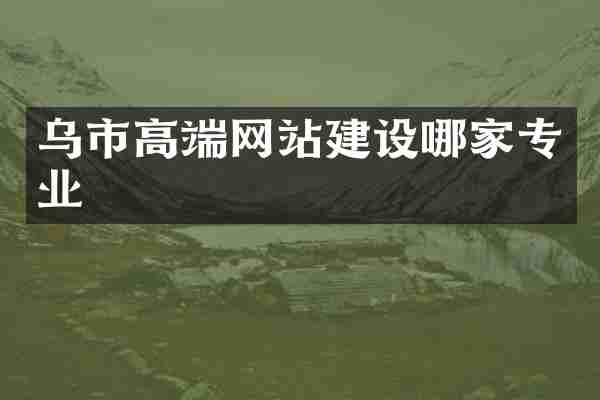 乌市高端网站建设哪家专业