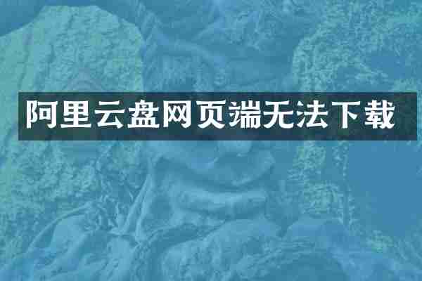 阿里云盘网页端无法下载