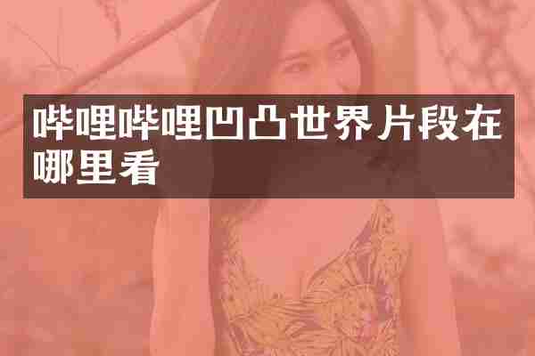 哔哩哔哩凹凸世界片段在哪里看