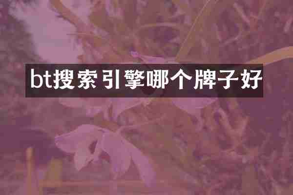 bt搜索引擎哪个牌子好