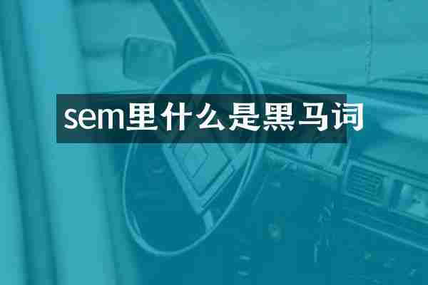 sem里什么是黑马词