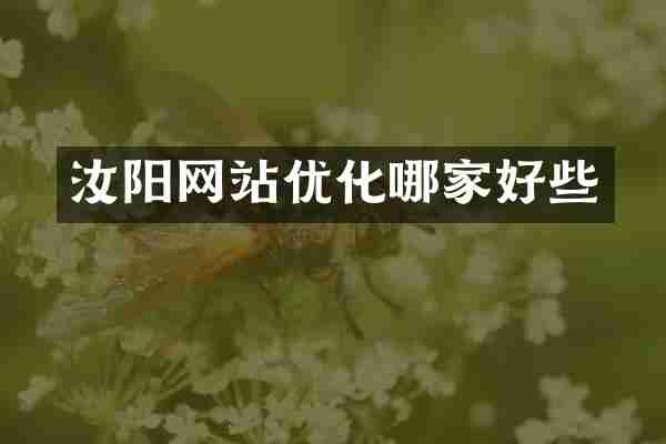 汝阳网站优化哪家好些