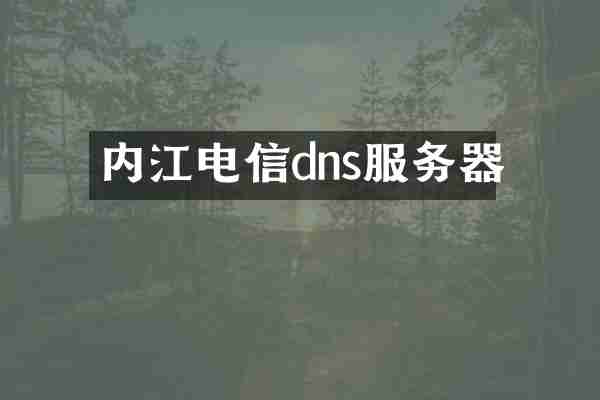 内江电信dns服务器