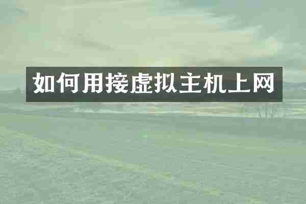 如何用接虚拟主机上网