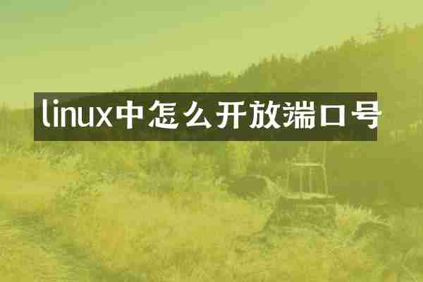 linux中怎么开放端口号