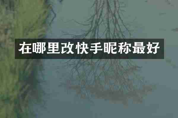在哪里改快手昵称最好
