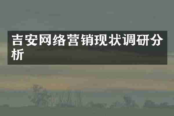 吉安网络营销现状调研分析