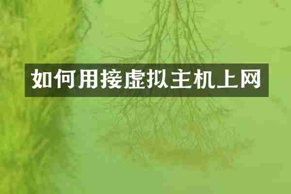 如何用接虚拟主机上网