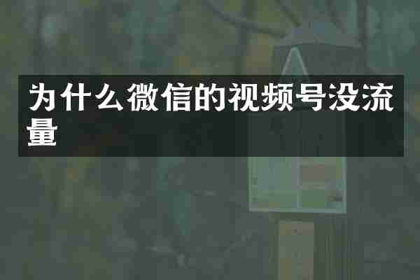 为什么微信的视频号没流量