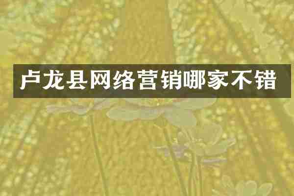 卢龙县网络营销哪家不错
