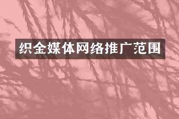 织金媒体网络推广范围