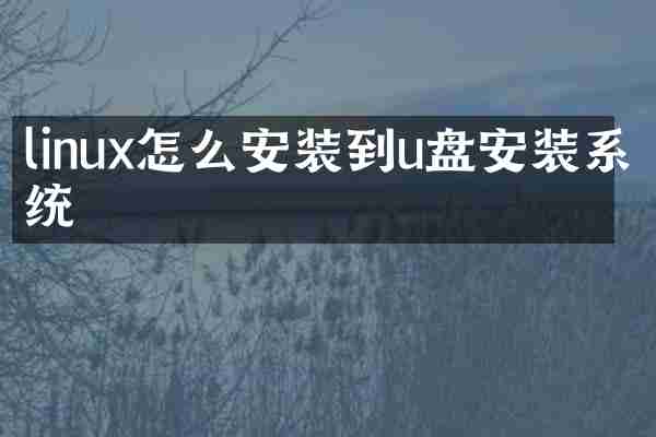 linux怎么安装到u盘安装系统