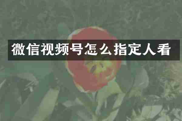 微信视频号怎么指定人看