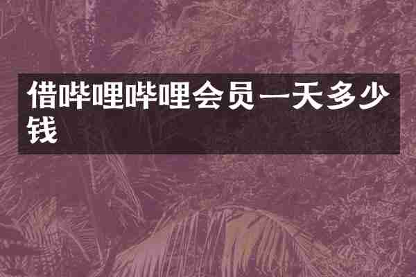 借哔哩哔哩会员一天多少钱