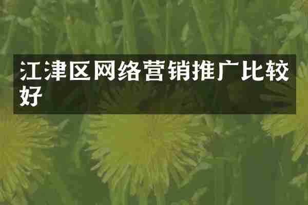 江津区网络营销推广比较好