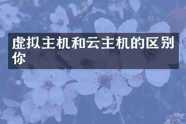 虚拟主机和云主机的区别你