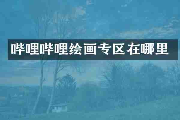 哔哩哔哩绘画专区在哪里
