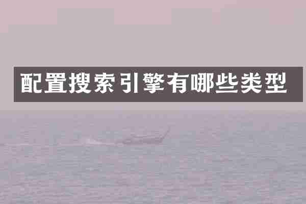 配置搜索引擎有哪些类型