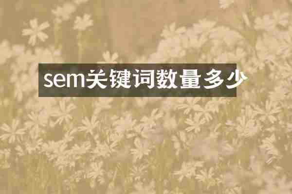 sem关键词数量多少