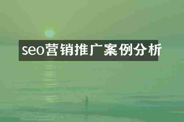 seo营销推广案例分析