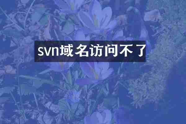 svn域名访问不了