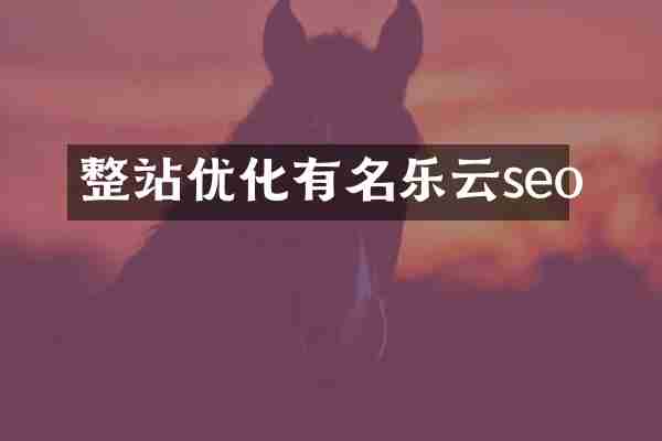 整站优化有名乐云seo