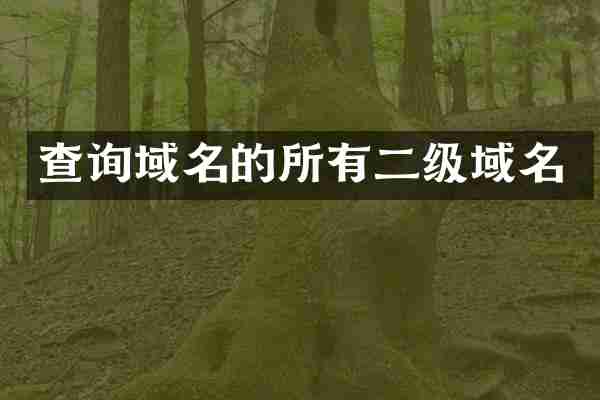 查询域名的所有二级域名