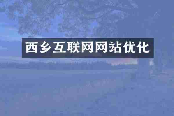 西乡互联网网站优化
