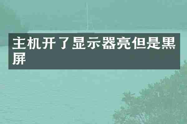 主机开了显示器亮但是黑屏