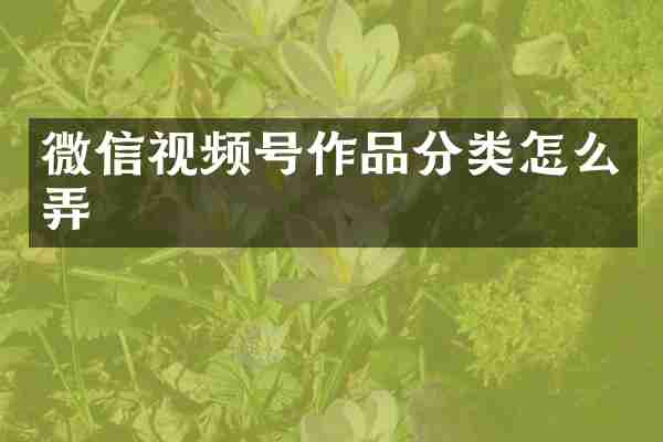 微信视频号作品分类怎么弄