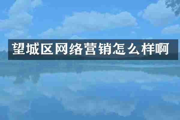 望城区网络营销怎么样啊