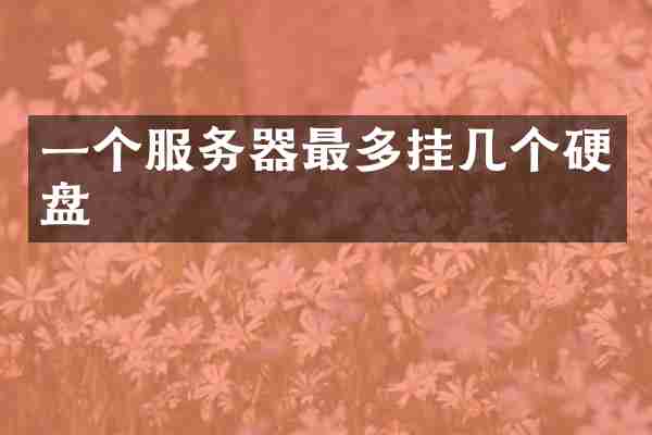 一个服务器最多挂几个硬盘