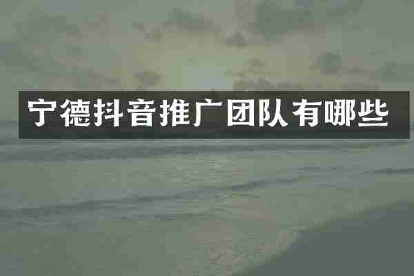 宁德抖音推广团队有哪些