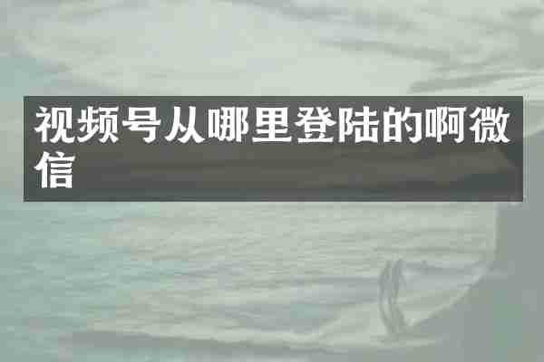 视频号从哪里登陆的啊微信