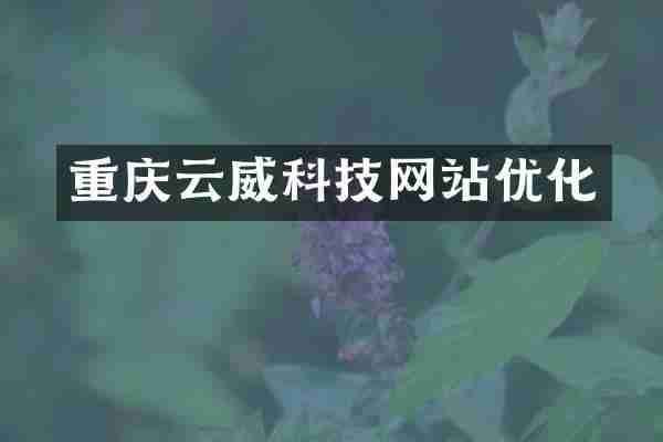 重庆云威科技网站优化
