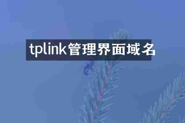 tplink管理界面域名
