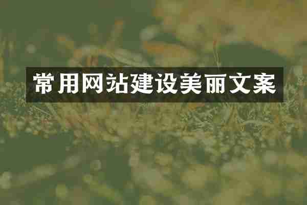 常用网站建设美丽文案