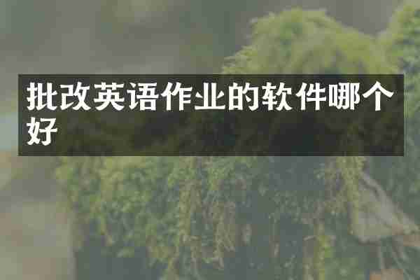 批改英语作业的软件哪个好